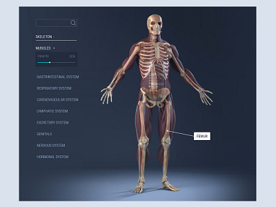 Tooltip / Daily UI #087 087 body concept dailyui dashboard highlight human share tooltip ui ux web