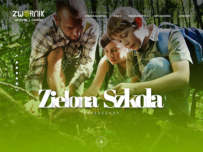Web Design - Zwornik creative design graphic illustrator photoshop portfolio site ui ux web webdesign website