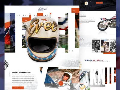 Evel america design elegant seagulls landing legend mocktober vintage web design