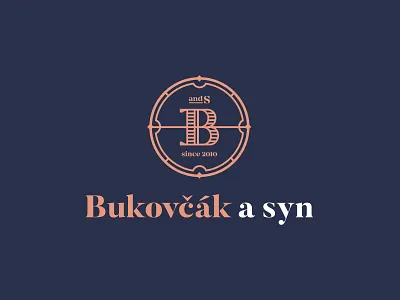 Logo Bukovčák a syn b brand circle coin darencurtis design letter logo numismatics symbol