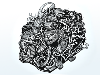 Design in the desert az bw desert creatures illustration phdw thorns