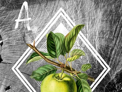 November Free Art @ apple digital art free wood