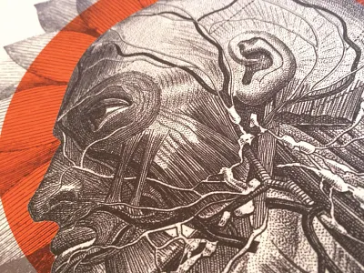 Brand New Poster Voodoo Fest New Orleans 2017 2017 brand fest new orleans poster voodoo