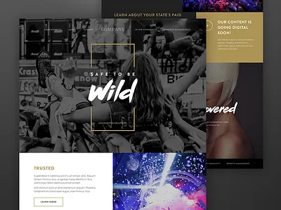 Accounting clean concert dark gold party professional risque wild