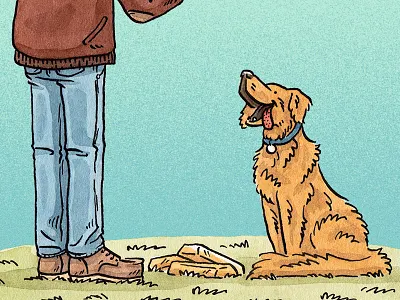 Golden Retriever animals dog editorial fetch gold golden retriever illustration mixed media people