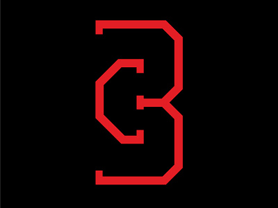 Personal Brand Mark brand mark typography