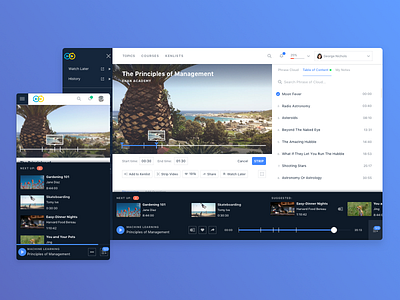 Playlists bottom panel learning platform playlists sf ui ui ux