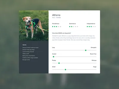 Canine Persona clean dog dots persona points proxima nova pup rating research scale user