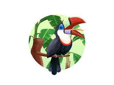 A Toucan