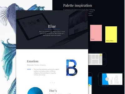 Color casestudy blue casestudy color red research ui ux yellow