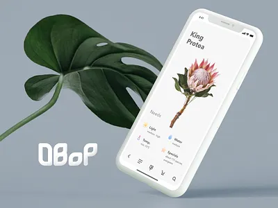 DBoP - Databank of Plants database earth flora flower interface iphone library plants ui ux x