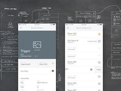 Camcare Blocking and Lo-Fi app blocking camcare concept crooz crooz media interface lo fidelity rough ui ux