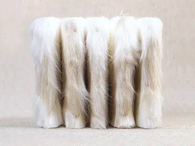 Monster Noa field notes fuzzy moleskine monster notebook pocket notebook