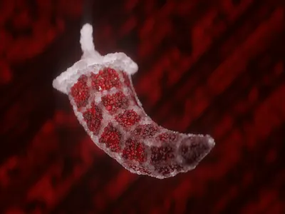 Ruby pepper 3d c4d cg cg event cgi cinema 4d digital art logo octane visual x particles