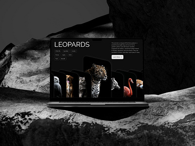 Nocturnal landing page ui ui design ui ux web website wild wild life