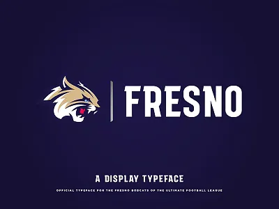 "Fresno" Display Typeface font letters type typeface typography