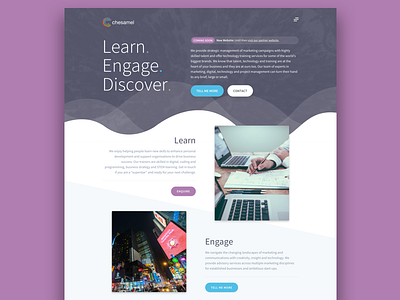 Chesamel advertising branding design flat logo marketing type ux vector web design