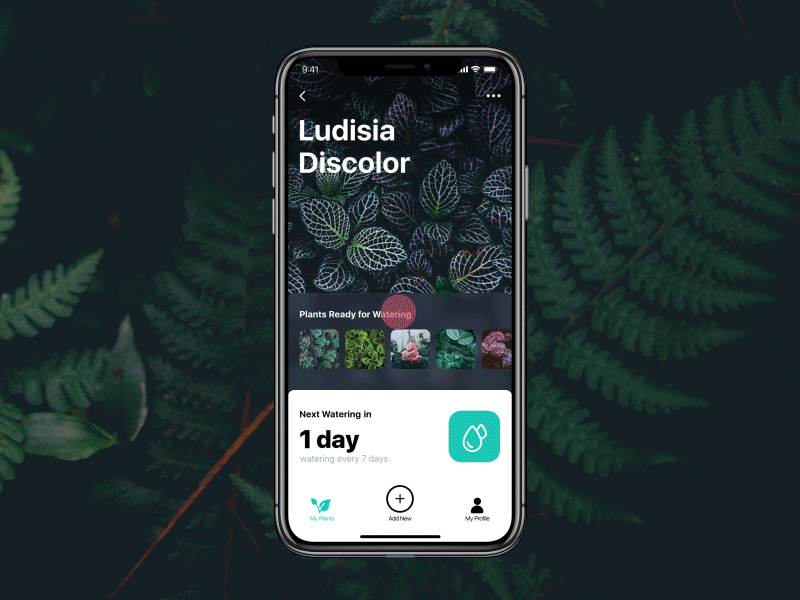 Watering Tracker App animation app app design design design studio graphic design home interaction interface mobile mobile app motion nature task tracker ui ui animation user experience user interface ux watering