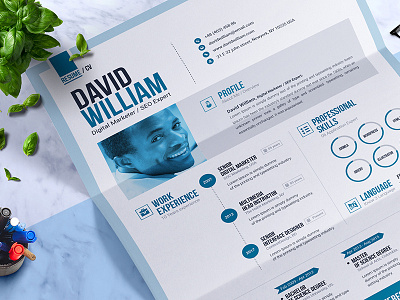 Professional Resume Builder Ms Word Resume Design Template cv design cv template job resume psd resume resume word resume cv ms word ms word resume resume design resume template ultimate resume