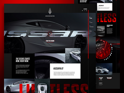 Arrinera Hussarya // Product website creogram crislabno design ui website