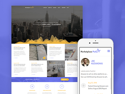 Marketplace Pulse blog data market pulse seller stats ui ux web webdesign
