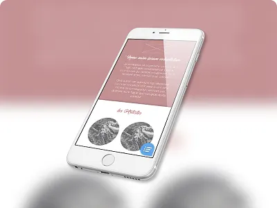 Les pétrifiantes {mobile #3} mobile poster shop webdesign website