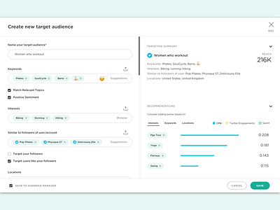 Recommendations ads composer data form preview recommendations target audience ui ux visual design