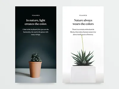 Article Cards Exploration 02 article card clean minimal news people portfolio profile shadow social story