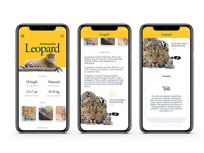 iPhoneX Exploration app ios iphone iphone app iphonex notch yellow