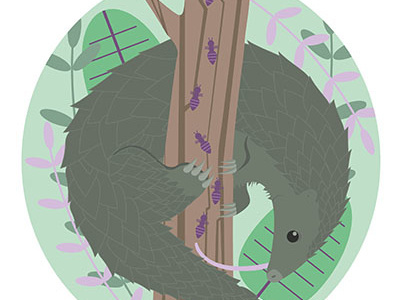 Pangolin illustration jungle pangolin