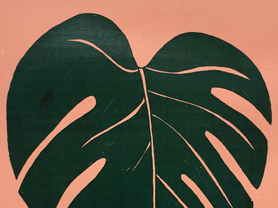 Monstera Screenprint handdrawn ink inkplate monstera plant plants print screenprint zeefdruk