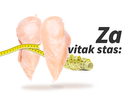 "Madi" food industry chicken food responsive web