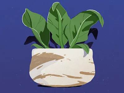 Constellation Planter ceramics design drawing illustration kyle brush photoshop planter plants pottery