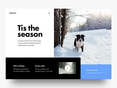 Tis The Season christmas dog jolly ui ux video webdesign