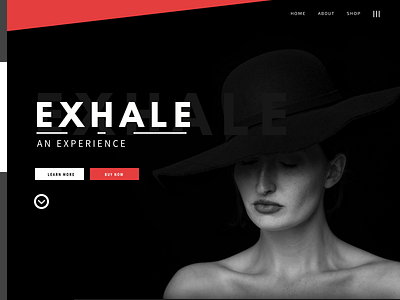 EXHALE app benefits clean css3 flat html5 medical minimal ui ux web