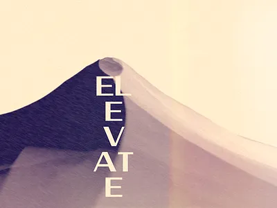 Elevate art japanese landscape poster typography