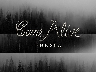 Album Art for PNNSLA - Design 4/4 album album art art direction design ep forest graphic design hand drawn lettering music pnnsla