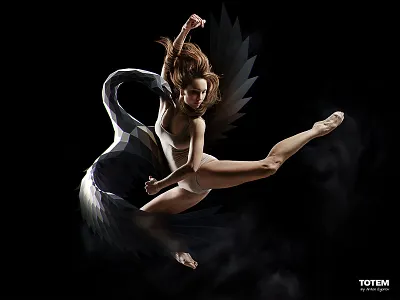 Low Poly Artwork - Swan animal ballet dance illustraion low poly low poly swan lowpoly lowpoly swan lowpolyart lowpolygon mascot soul spirit sports swan totem