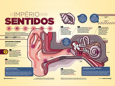 Empire of senses editorial illustration illustration infographics