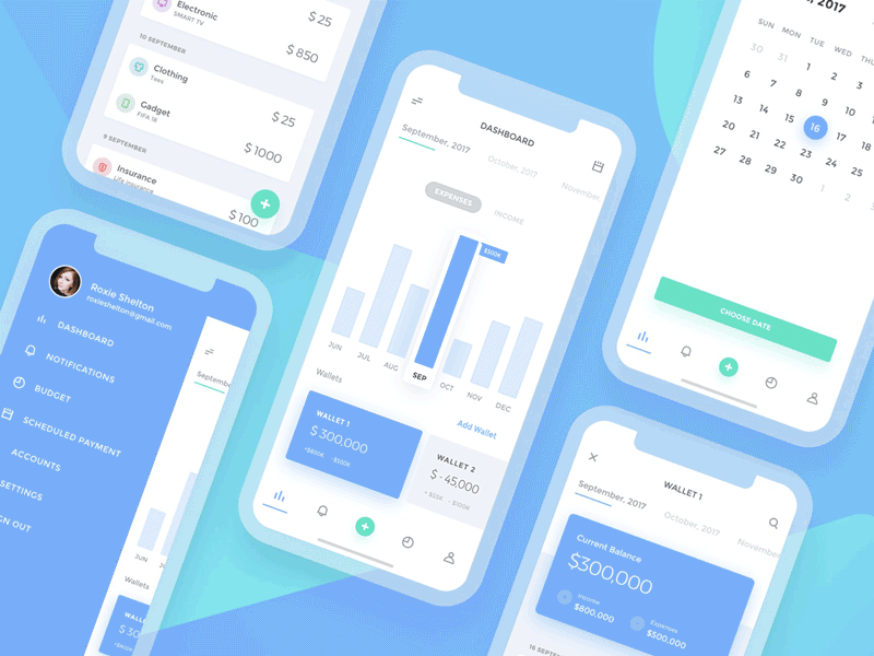Bucks UI Kit Interaction bank bar budget cash chart dashboard finance financial graph money statistics wallet