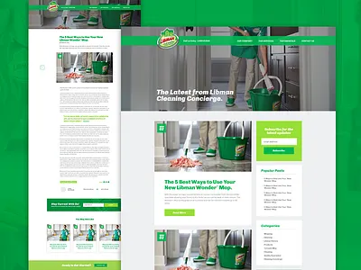 Blog Mockup cleaning design web