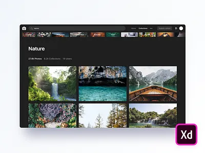 Unsplash Dark Theme (Adobe XD Freebie) adobe dark theme download free freebie landing page mockup night photography trendy unsplash xd