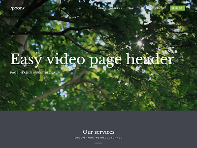 Spoons WordPress Video Header business envato little neko theme themeforest ui ux web design wordpress