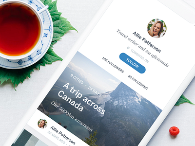 Lonely Planet Trips ⇨ Profiles app design ios iphones x lonely planet profile type typography ui ux