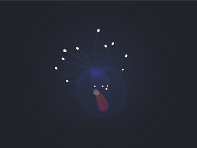 小型水母 illustration jellyfish