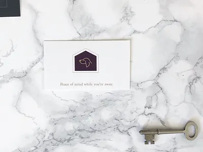 Branding Preview asheville brand branding business cards dog identity pets petsitting tagline