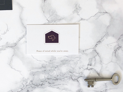 Branding Preview asheville brand branding business cards dog identity pets petsitting tagline