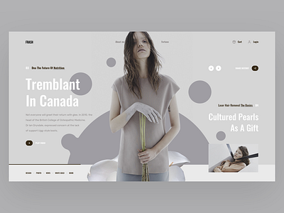 FRASH Canada book design fashion interface news photo sea slide web