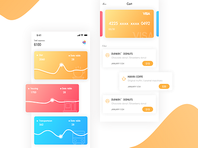 Daily Payment card filter payment