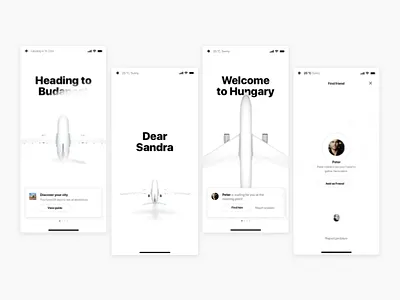 Exchange Student welcoming drafts draft fly plane student travel welcome